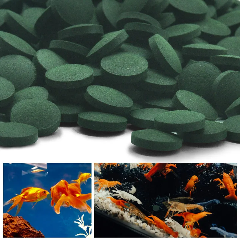 Spirulina Tablet Organic - 100 sztuk tabletek Spirulina o wysokiej
