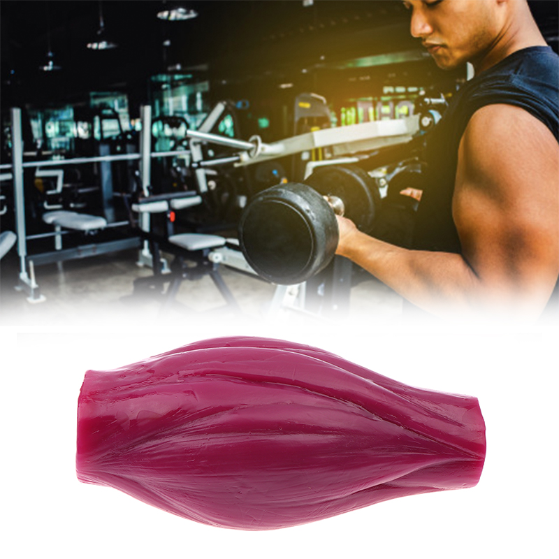 1 funt mięśni do utrzymania ko – Nutrition For Fitness Course recenzja i cena