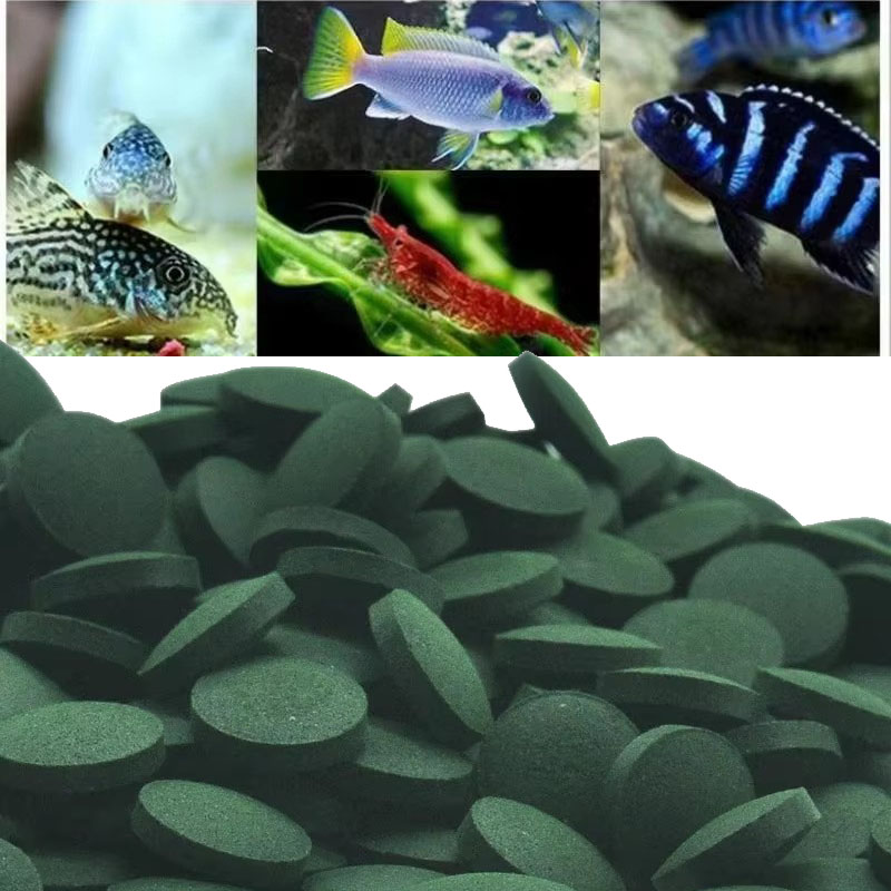 50/100/300/500 szt. Tabletek S – Spirulina Tablet Organic recenzja i cena